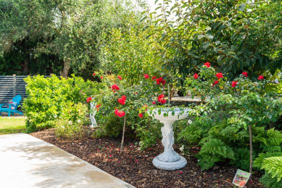 Deluxe French Room - garden