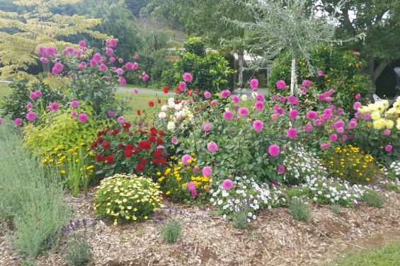 Totara Cottage - gardens